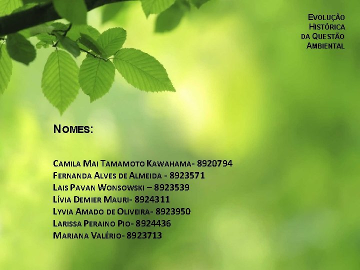 EVOLUÇÃO HISTÓRICA DA QUESTÃO AMBIENTAL NOMES: CAMILA MAI TAMAMOTO KAWAHAMA- 8920794 FERNANDA ALVES DE