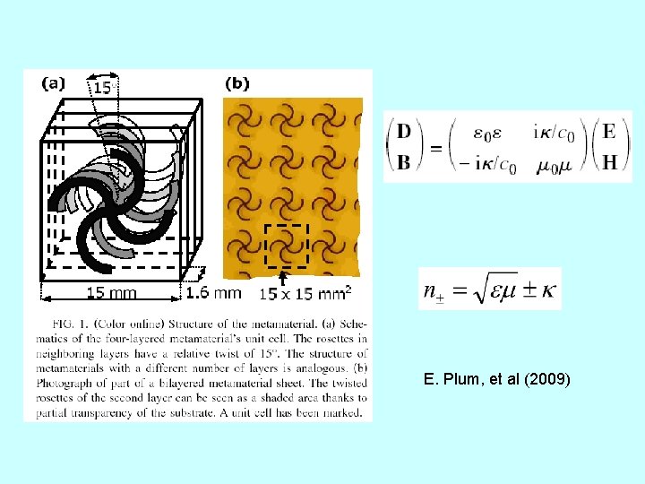 E. Plum, et al (2009) 