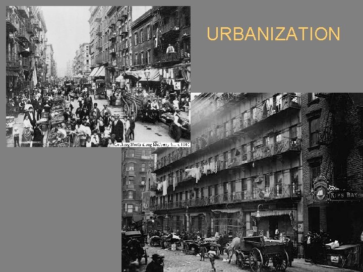 URBANIZATION 