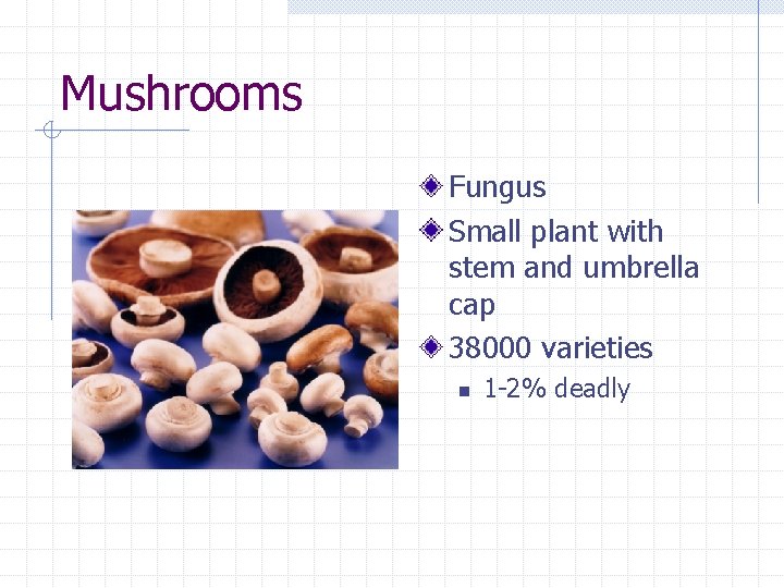 Mushrooms Fungus Small plant with stem and umbrella cap 38000 varieties n 1 -2%