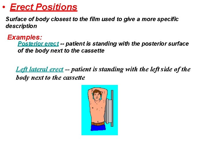 • Erect Positions Surface of body closest to the film used to give • Erect Positions Surface of body closest to the film used to give