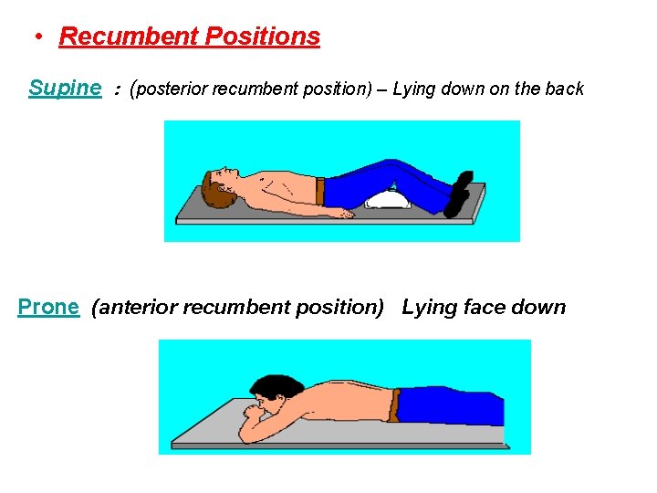 • Recumbent Positions Supine : (posterior recumbent position) – Lying down on the • Recumbent Positions Supine : (posterior recumbent position) – Lying down on the