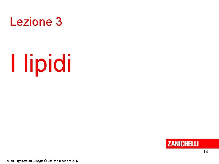 Lezione 3 I lipidi 14 Phelan, Pignocchino Biologia © Zanichelli editore 2017 