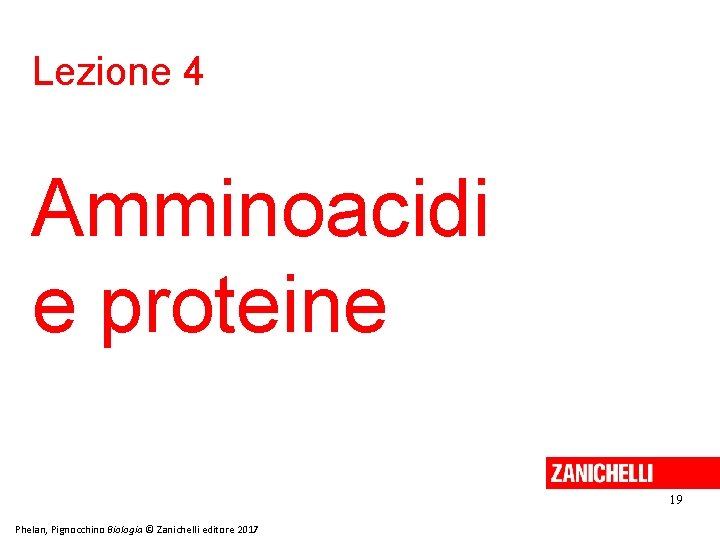 Lezione 4 Amminoacidi e proteine 19 Phelan, Pignocchino Biologia © Zanichelli editore 2017 