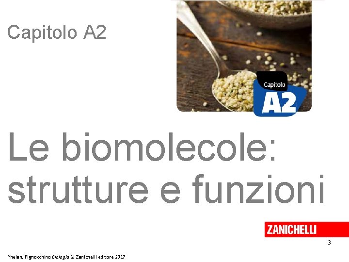 Capitolo A 2 Le biomolecole: strutture e funzioni 3 Phelan, Pignocchino Biologia © Zanichelli