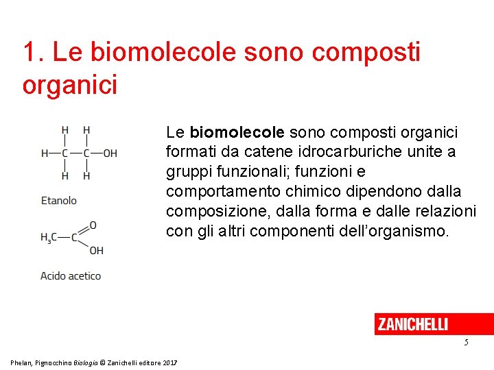 1. Le biomolecole sono composti organici formati da catene idrocarburiche unite a gruppi funzionali;