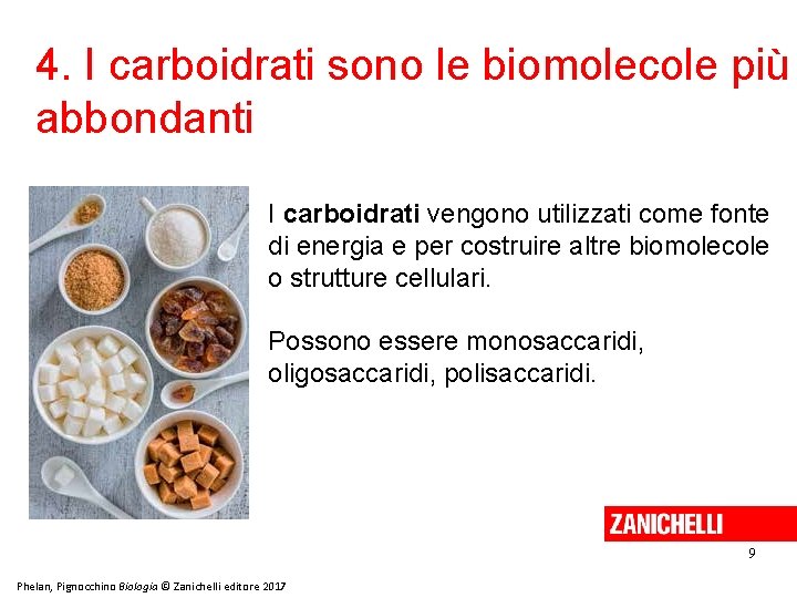 4. I carboidrati sono le biomolecole più abbondanti I carboidrati vengono utilizzati come fonte