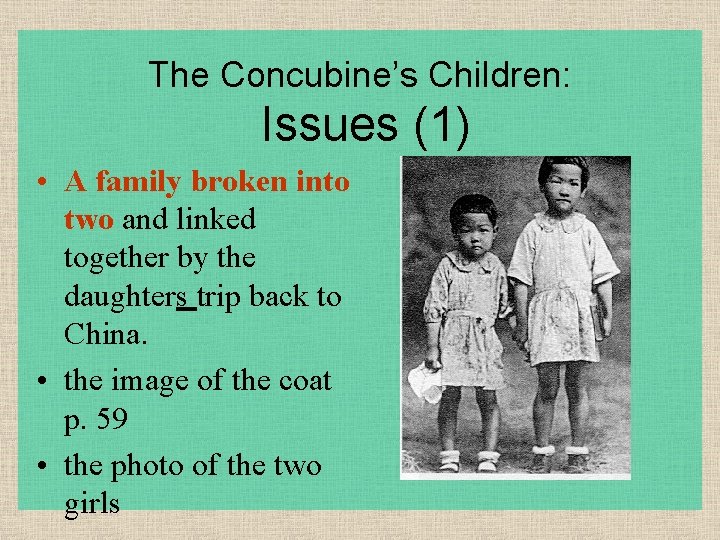 The Concubine’s Children: Issues (1) • A family broken into two and linked together