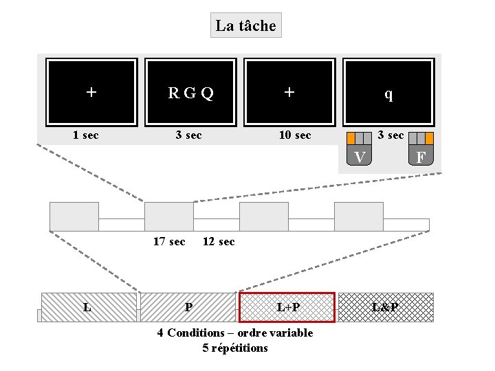 La tâche + 1 sec R G Q 3 sec q + 10 sec