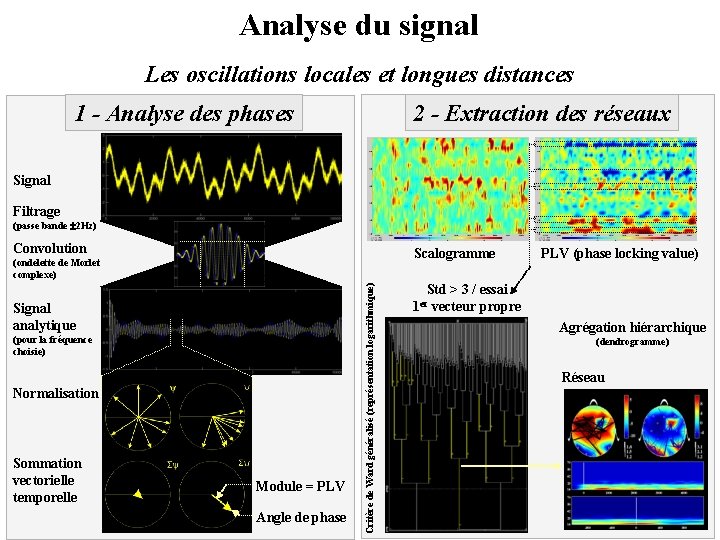 Analyse du signal Les oscillations locales et longues distances 1 - Analyse des phases