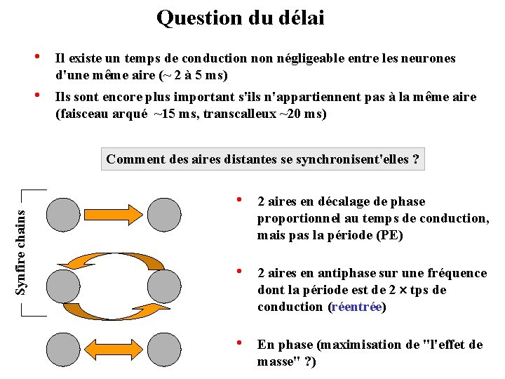 Question du délai • Il existe un temps de conduction négligeable entre les neurones