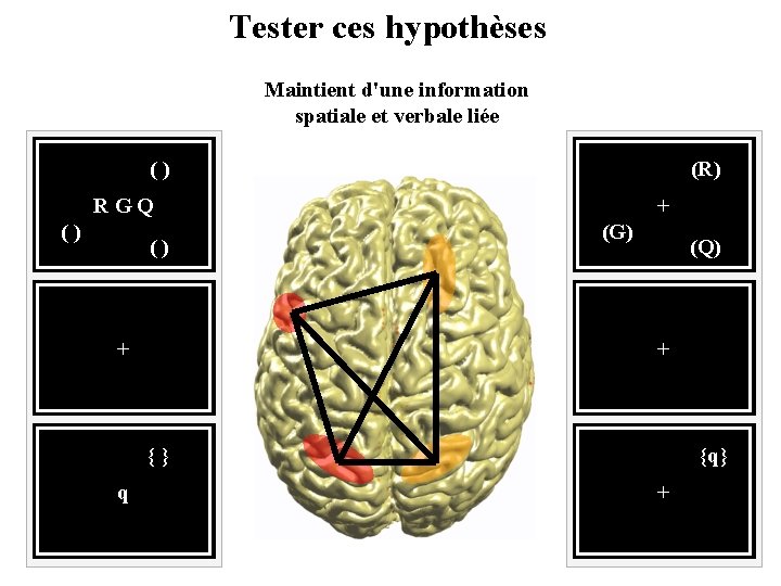 Tester ces hypothèses Maintient d'une information spatiale et verbale liée (R) ( ) R