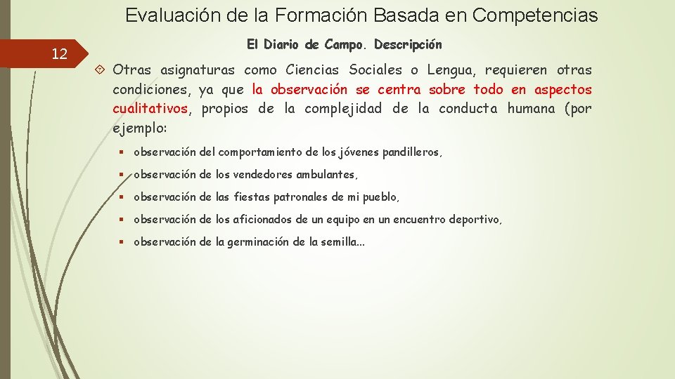 Evaluación de la Formación Basada en Competencias 12 El Diario de Campo. Descripción Otras