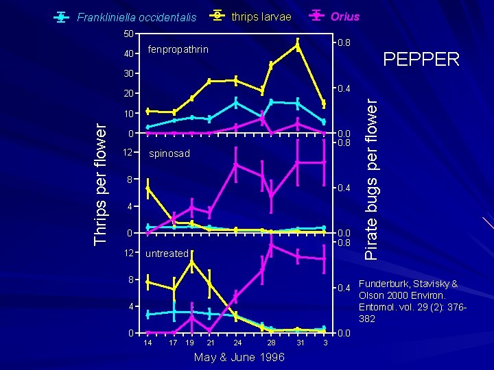 thrips larvae Frankliniella occidentalis Orius 50 40 0. 8 fenpropathrin PEPPER 30 Thrips per