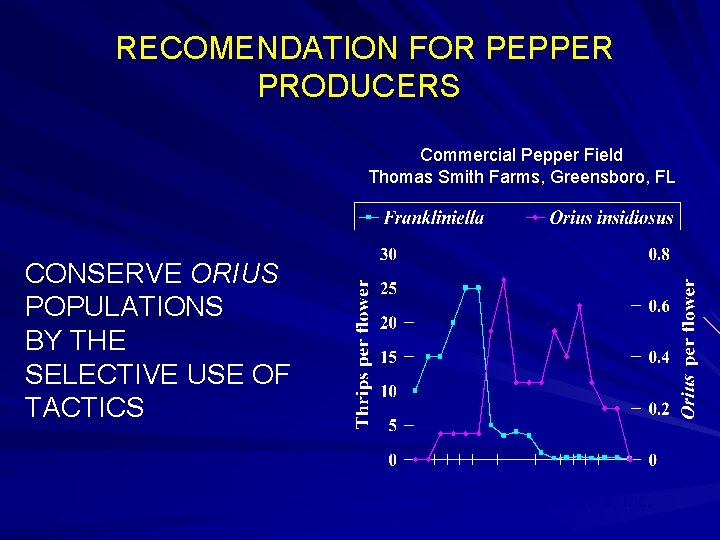 RECOMENDATION FOR PEPPER PRODUCERS Commercial Pepper Field Thomas Smith Farms, Greensboro, FL CONSERVE ORIUS