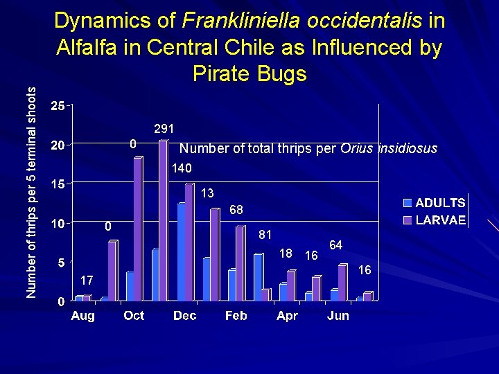 291 0 Number of thrips per 5 terminal shoots Dynamics of Frankliniella occidentalis in