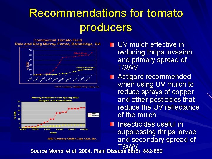 Recommendations for tomato producers UV mulch effective in reducing thrips invasion and primary spread