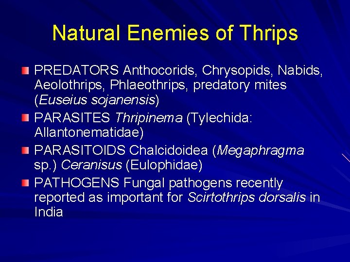 Natural Enemies of Thrips PREDATORS Anthocorids, Chrysopids, Nabids, Aeolothrips, Phlaeothrips, predatory mites (Euseius sojanensis)