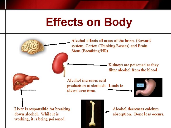 Effects on Body Alcohol affects all areas of the brain. (Reward system, Cortex (Thinking/Senses)