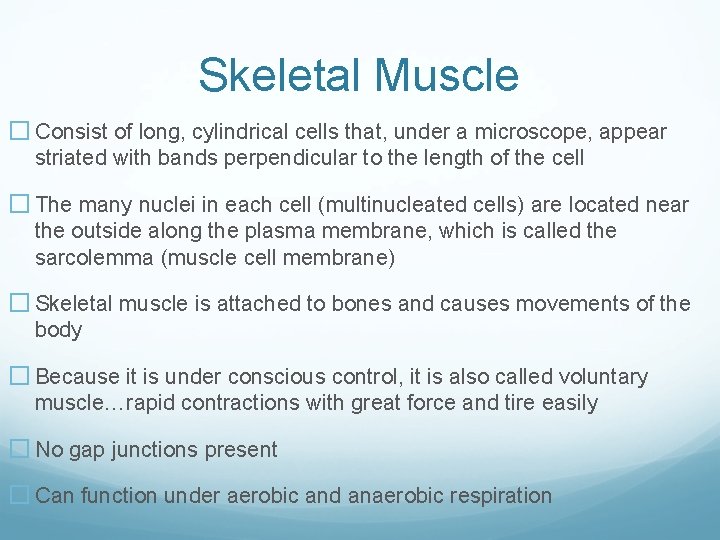 Skeletal Muscle � Consist of long, cylindrical cells that, under a microscope, appear striated