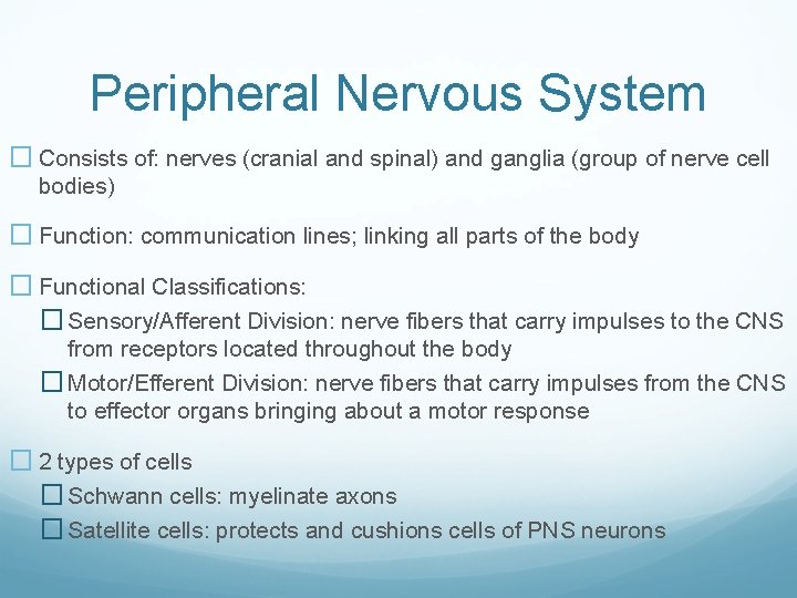 Peripheral Nervous System � Consists of: nerves (cranial and spinal) and ganglia (group of