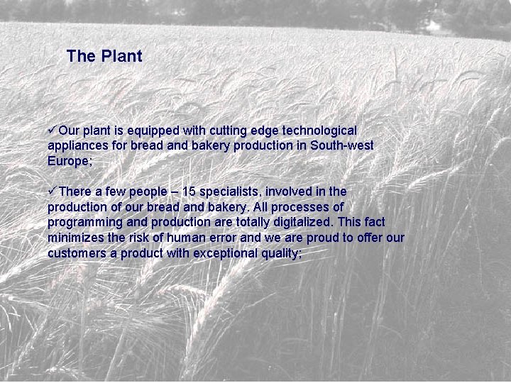 The Plant üOur plant is equipped with cutting edge technological appliances for bread and