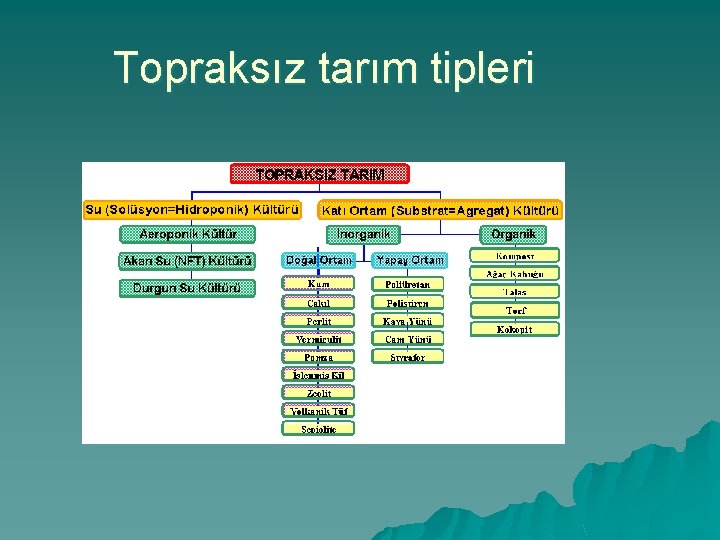 Topraksız tarım tipleri 