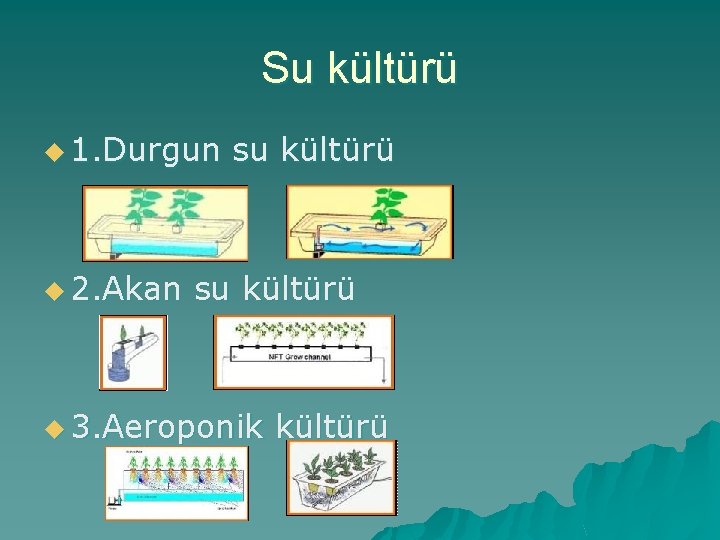 Su kültürü u 1. Durgun u 2. Akan su kültürü u 3. Aeroponik kültürü