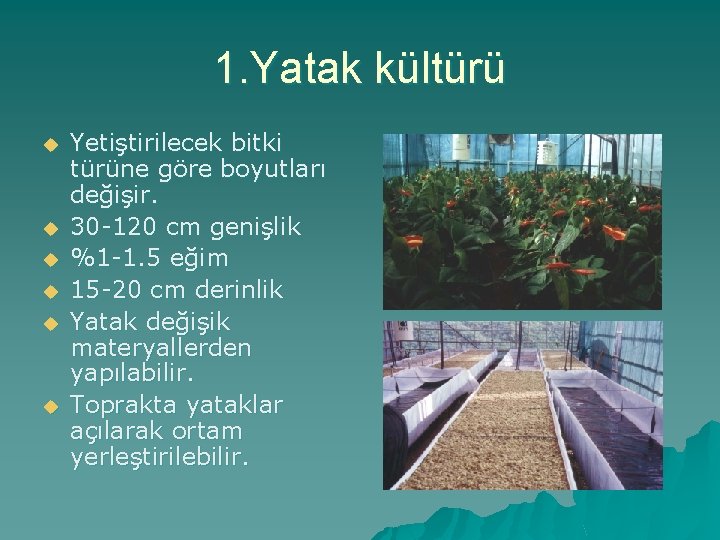 1. Yatak kültürü u u u Yetiştirilecek bitki türüne göre boyutları değişir. 30 -120