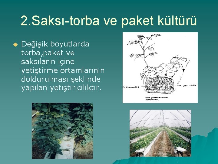 2. Saksı-torba ve paket kültürü u Değişik boyutlarda torba, paket ve saksıların içine yetiştirme