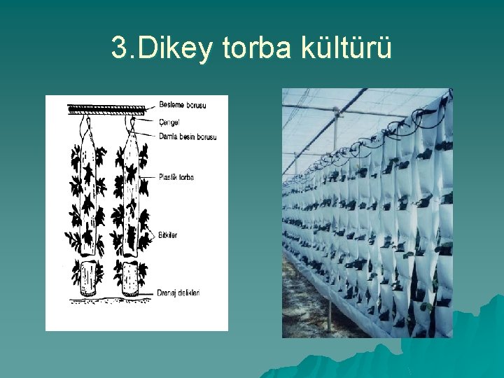 3. Dikey torba kültürü 