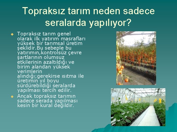 Topraksız tarım neden sadece seralarda yapılıyor? u u Topraksız tarım genel olarak ilk yatırım