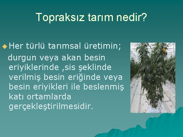 Topraksız tarım nedir? u Her türlü tarımsal üretimin; durgun veya akan besin eriyiklerinde ,