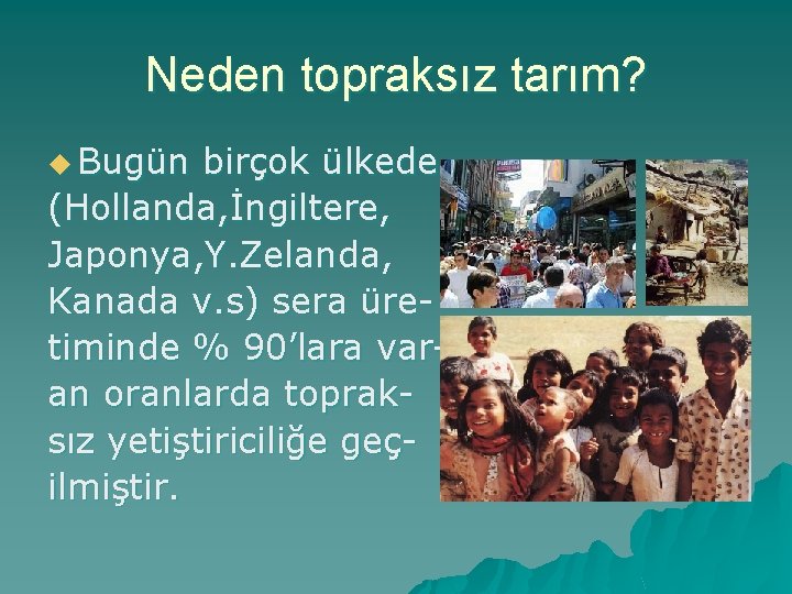 Neden topraksız tarım? u Bugün birçok ülkede (Hollanda, İngiltere, Japonya, Y. Zelanda, Kanada v.