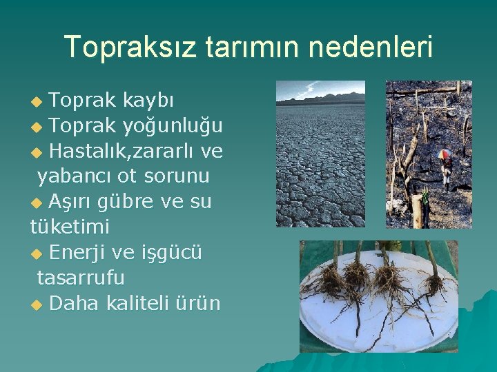 Topraksız tarımın nedenleri Toprak kaybı u Toprak yoğunluğu u Hastalık, zararlı ve yabancı ot