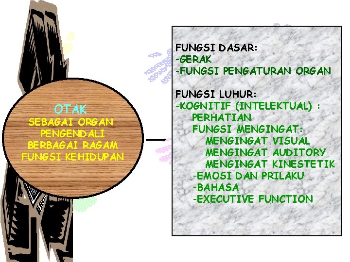 FUNGSI DASAR: -GERAK -FUNGSI PENGATURAN ORGAN OTAK SEBAGAI ORGAN PENGENDALI BERBAGAI RAGAM FUNGSI KEHIDUPAN