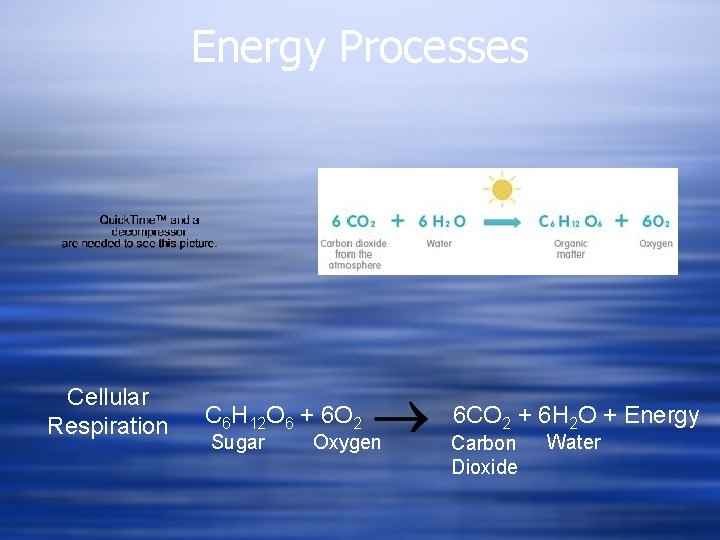 Energy Processes Cellular Respiration C 6 H 12 O 6 + 6 O 2
