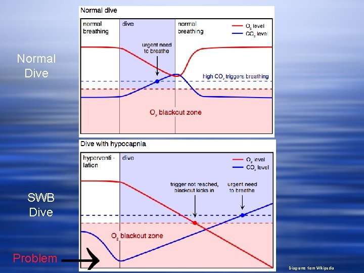 Normal Dive SWB Dive Problem Diagrams from Wikipedia 