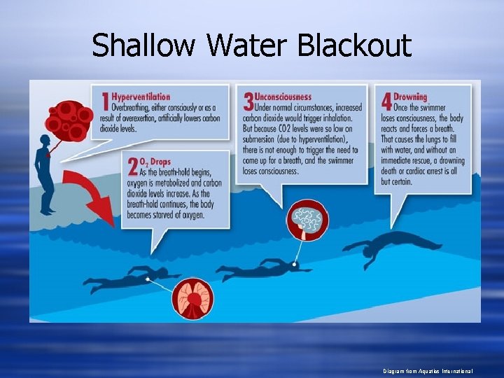 Shallow Water Blackout Diagram from Aquatics International 