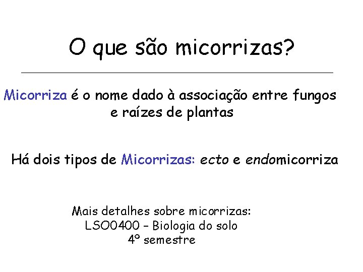 O que são micorrizas? Micorriza é o nome dado à associação entre fungos e