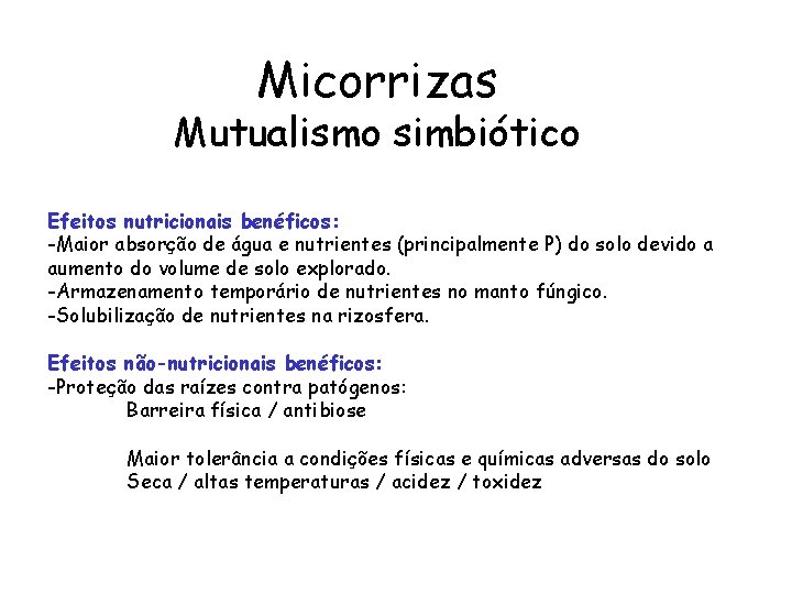 Micorrizas Mutualismo simbiótico Efeitos nutricionais benéficos: -Maior absorção de água e nutrientes (principalmente P)