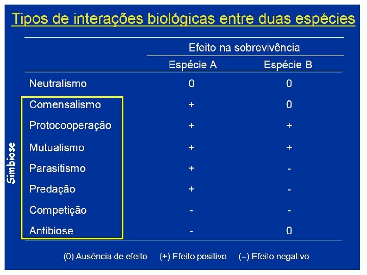 Simbiose 