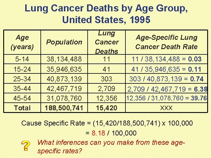 Lung Cancer Deaths by Age Group, United States, 1995 Age (years) Population 5 -14