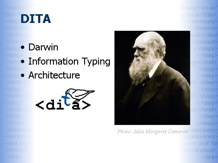 DITA • Darwin • Information Typing • Architecture Photo: Julia Margaret Cameron 