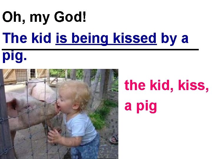 Oh, my God! The kid is being kissed by a _____________ pig. the kid,