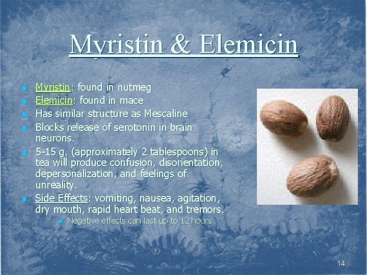 Myristin & Elemicin n n n Myristin: found in nutmeg Elemicin: found in mace