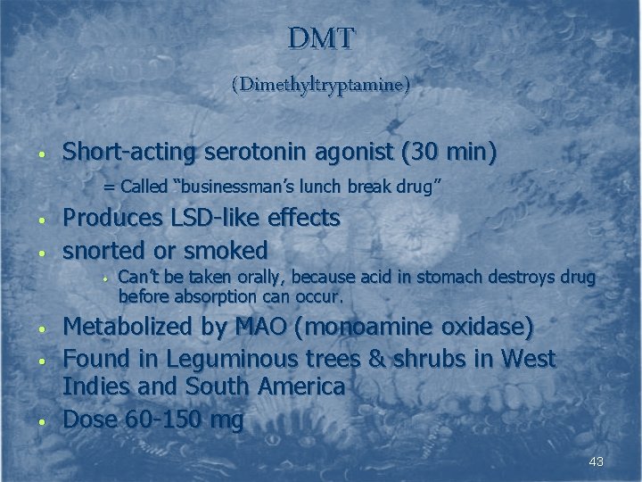 DMT (Dimethyltryptamine) • Short-acting serotonin agonist (30 min) = Called “businessman’s lunch break drug”