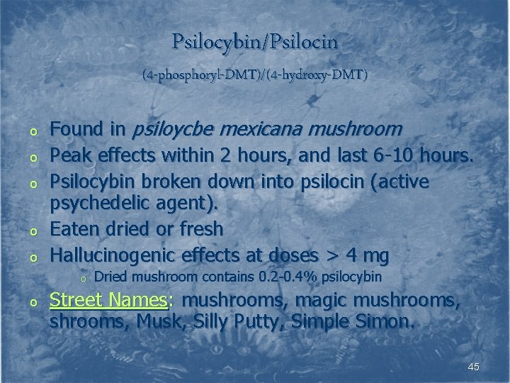 Psilocybin/Psilocin (4 -phosphoryl-DMT)/(4 -hydroxy-DMT) o o o Found in psiloycbe mexicana mushroom Peak effects
