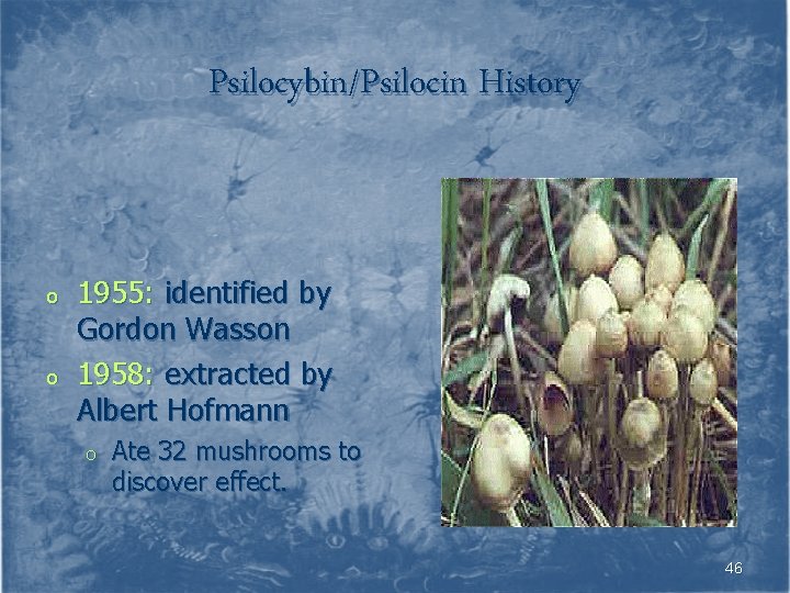 Psilocybin/Psilocin History o o 1955: identified by Gordon Wasson 1958: extracted by Albert Hofmann