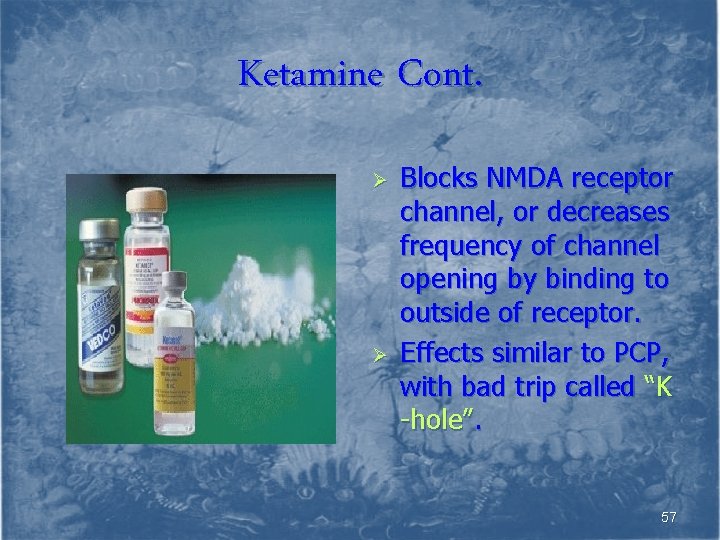 Ketamine Cont. Ø Ø Blocks NMDA receptor channel, or decreases frequency of channel opening